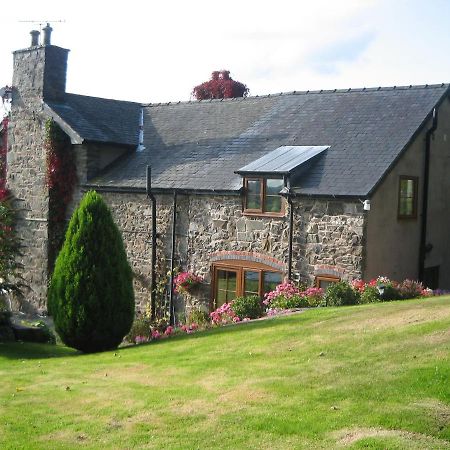 Tan Y Graig Bed & Breakfast Meifod Eksteriør bilde