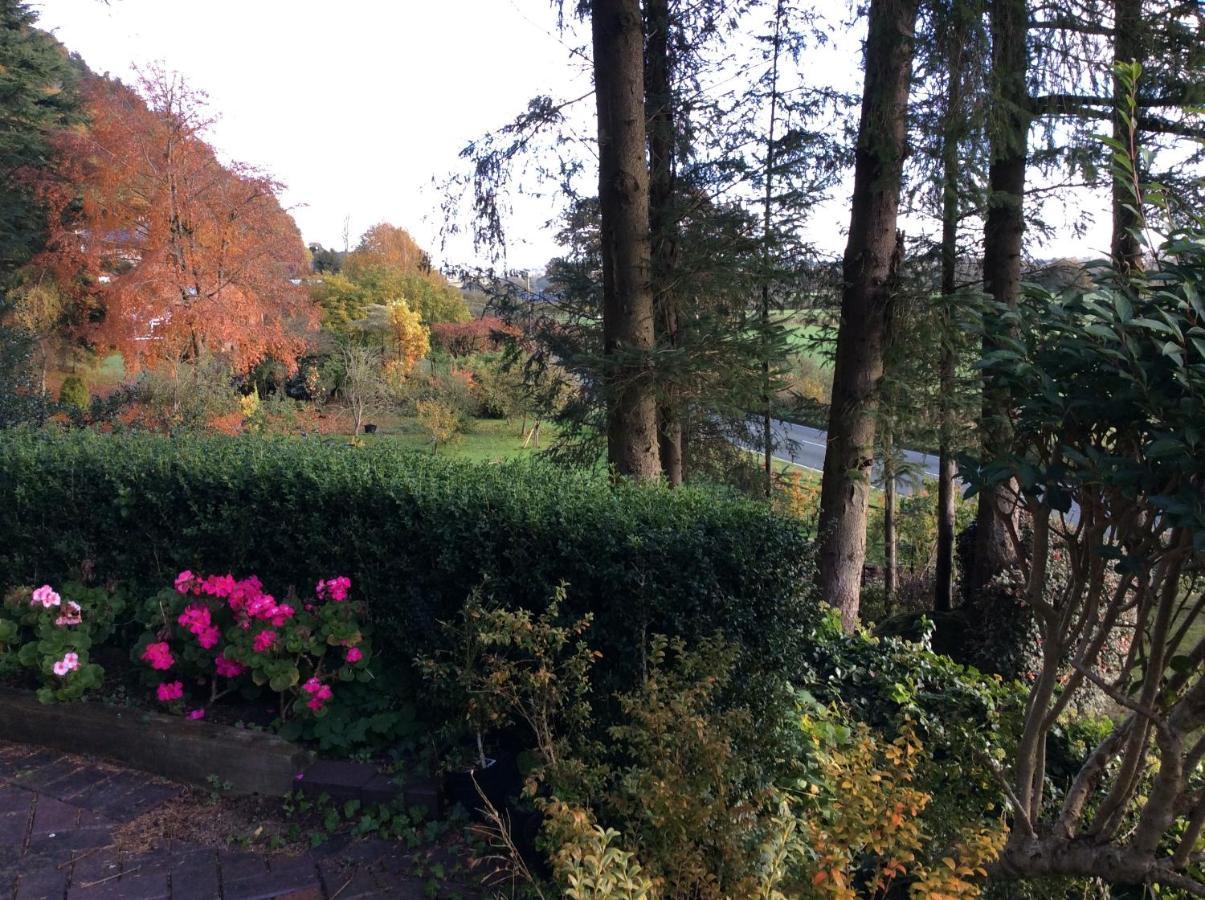 Tan Y Graig Bed & Breakfast Meifod Eksteriør bilde