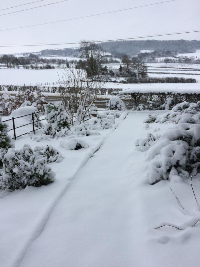 Tan Y Graig Bed & Breakfast Meifod Eksteriør bilde